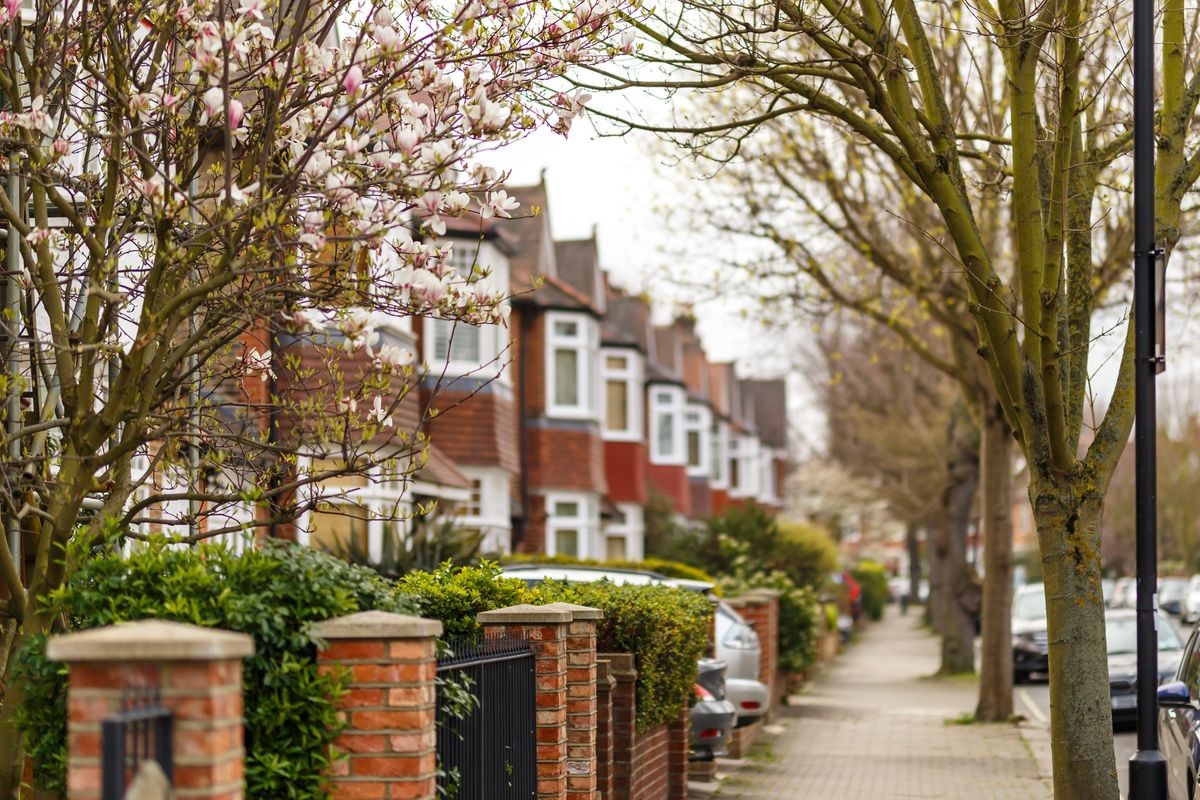 Trees in blossom in Lodon