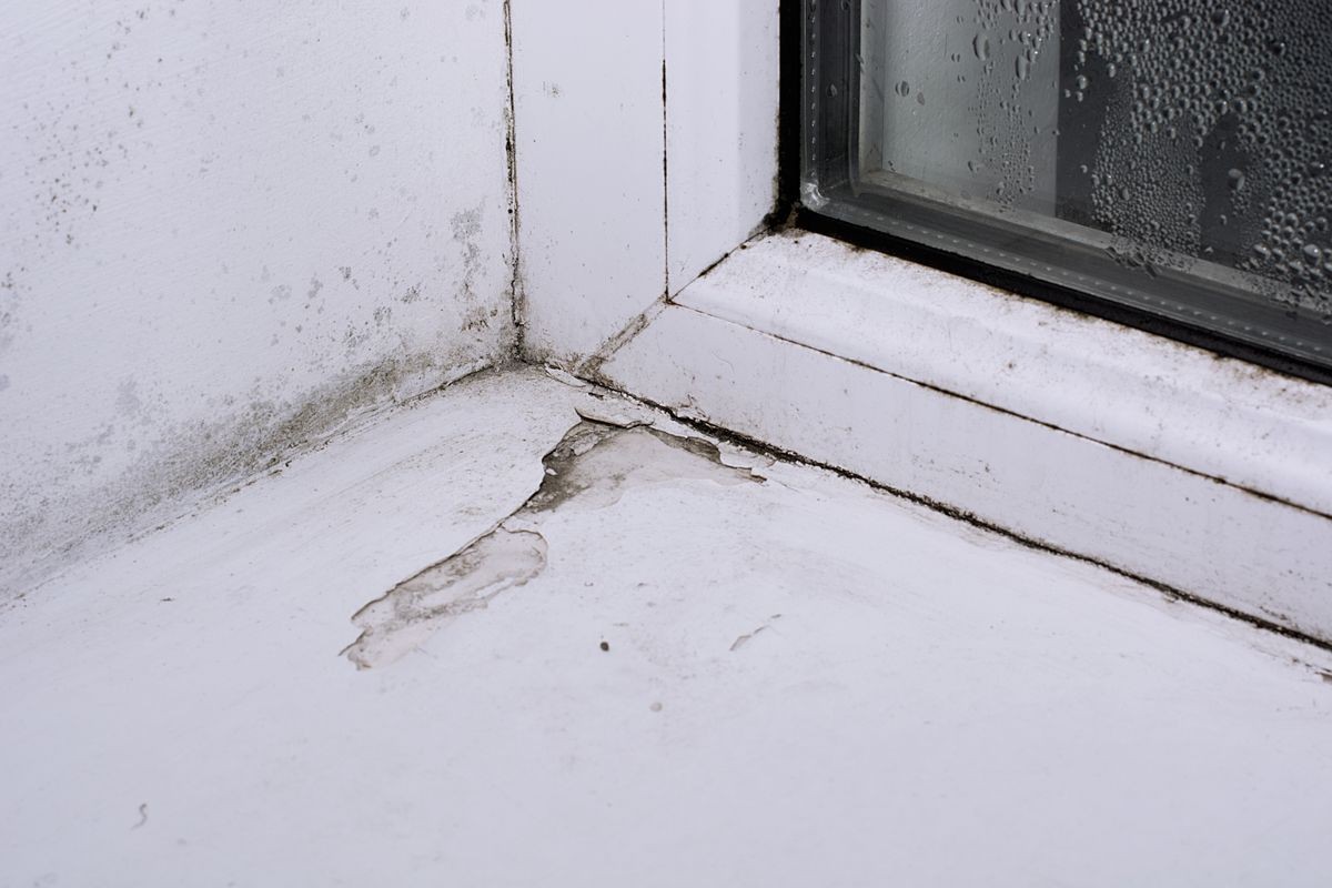 Mold in the corner of the plastic windows.